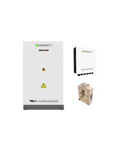 Growatt ACE 261 kWh 250A